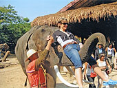 (c) Feh�rv�r Travel