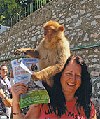 (c) Feh�rv�r Travel