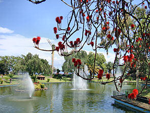 park Funchalban