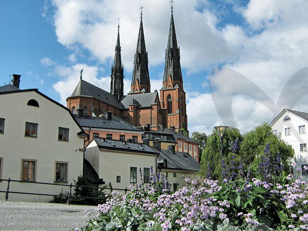 (c) Fehérvár Travel